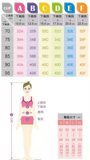 bsport体育女生胸的尺码对照表（教你区分胸围ABCD）(图1)