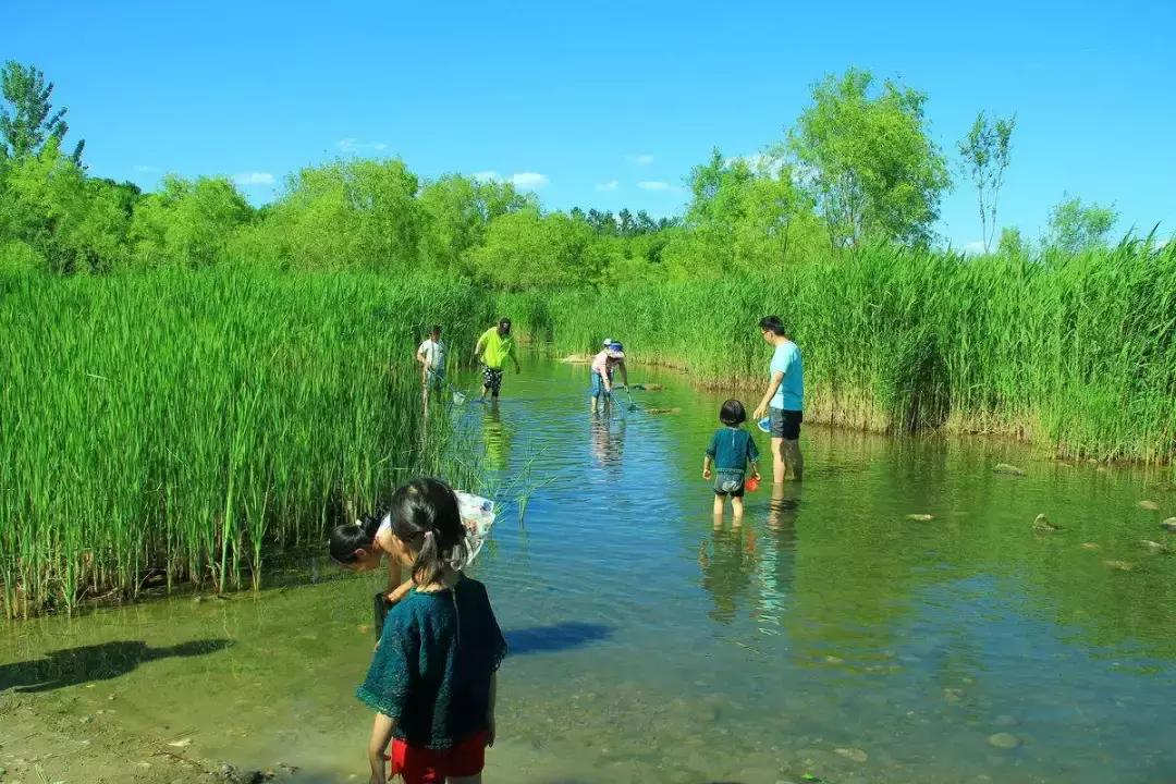 古镇古街开发运营全流程锦囊：十大策略